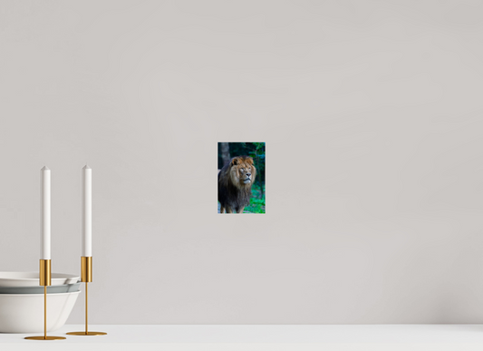 The King's Gaze (Photo Print On Fuji Crystal DP II)