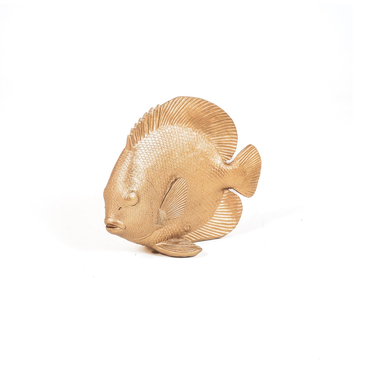 Ornament - Platvis - Polyresin - Goud - 19,5x10,5x16cm