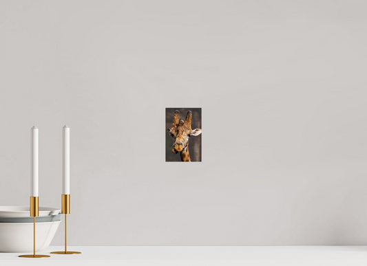 Portrait of a Giant (Photo Print On Fuji Crystal DP II)