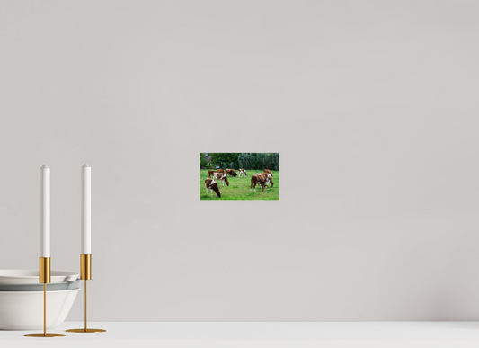 Cows in the Pasture Print | Farm Wall Art (Photo Print On Fuji Crystal DP II)