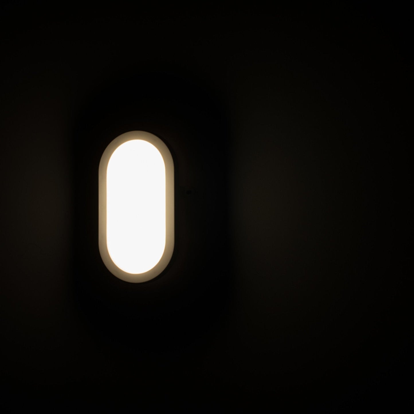 Proventa Outdoor LED Bull eye buitenlamp - Wandlamp model Ovaal voor buitengebruik