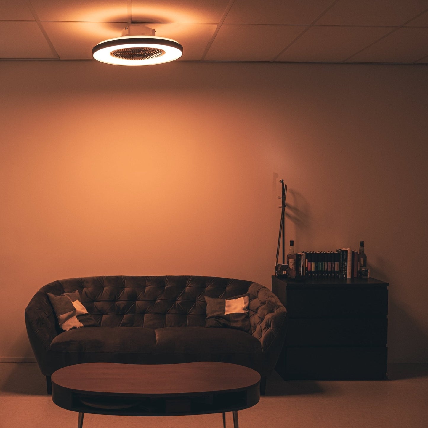 Proventa Premium Plafondventilator met lamp 60 cm - Zomer- en winterstand met afstandsbediening - Zwart