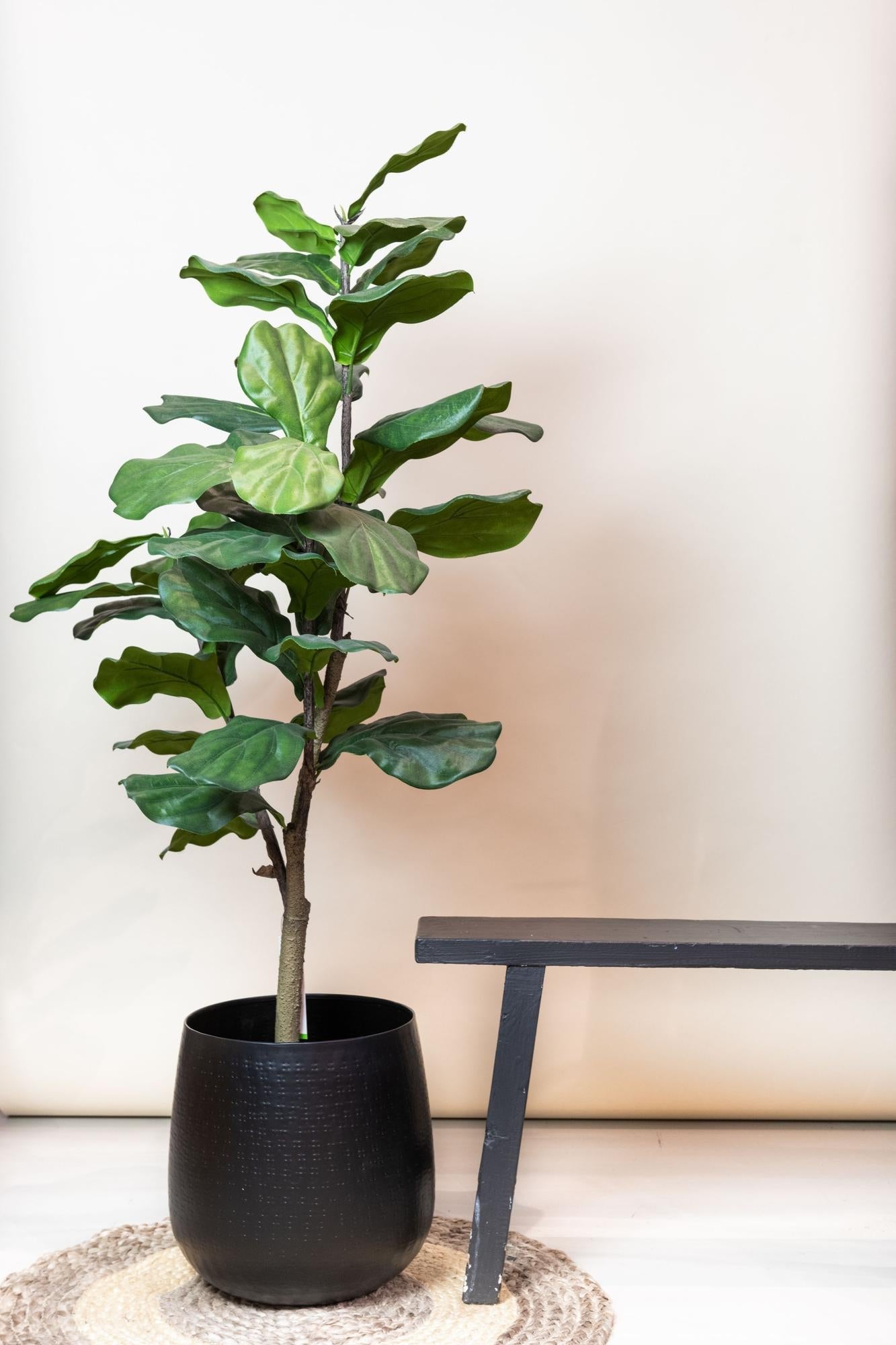 Kunstplant - Ficus Lyrata - 120cm