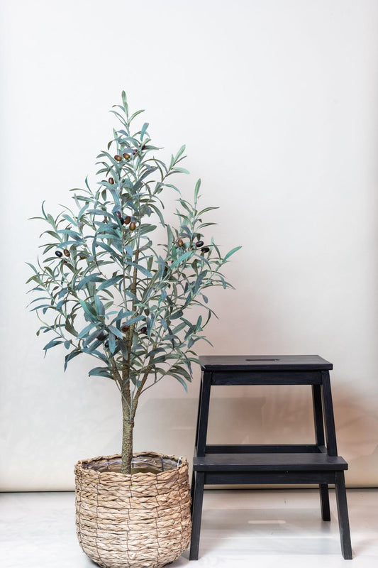 Kunst Olijfboom -  Olea europaea - 115cm