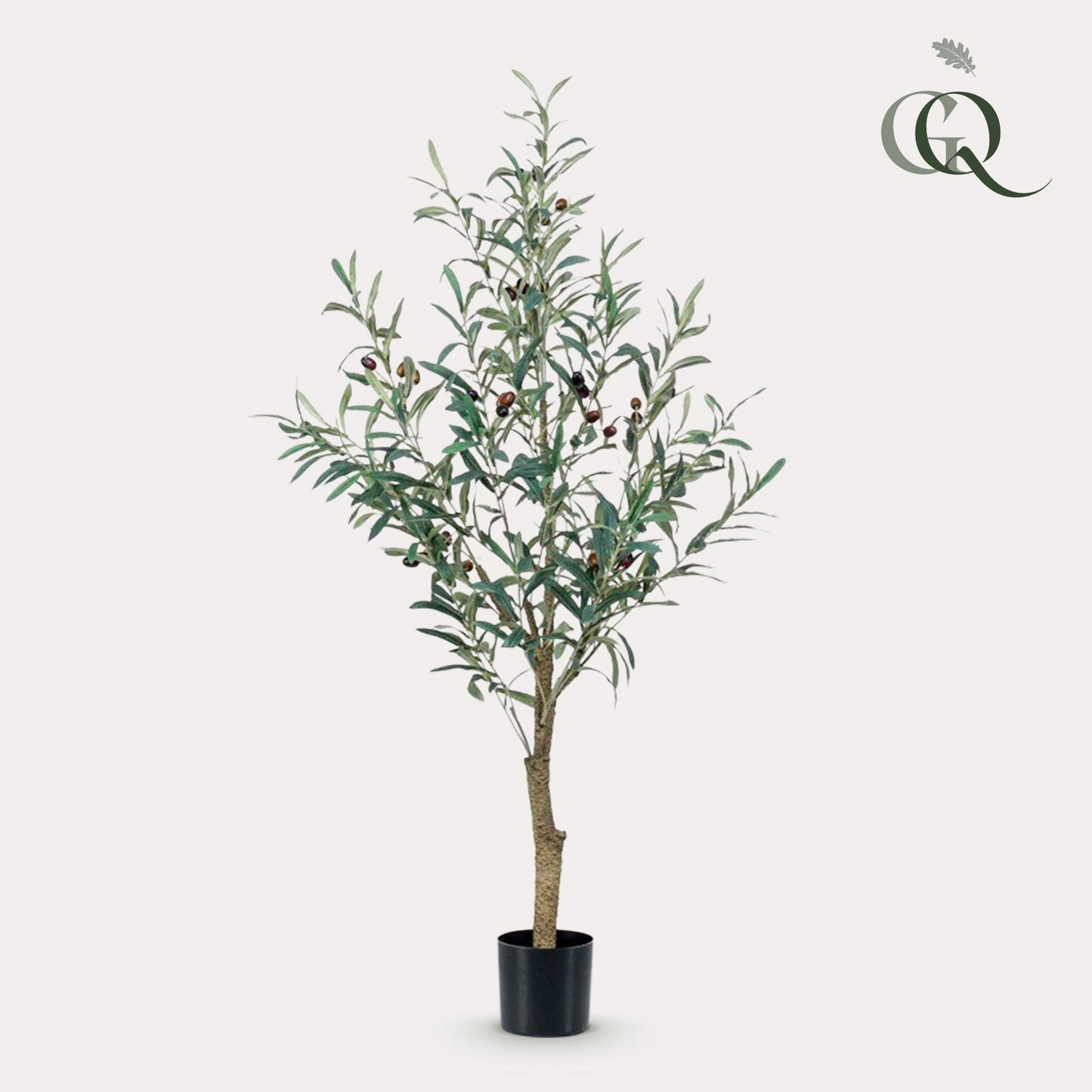 Kunst Olijfboom -  Olea europaea - 115cm