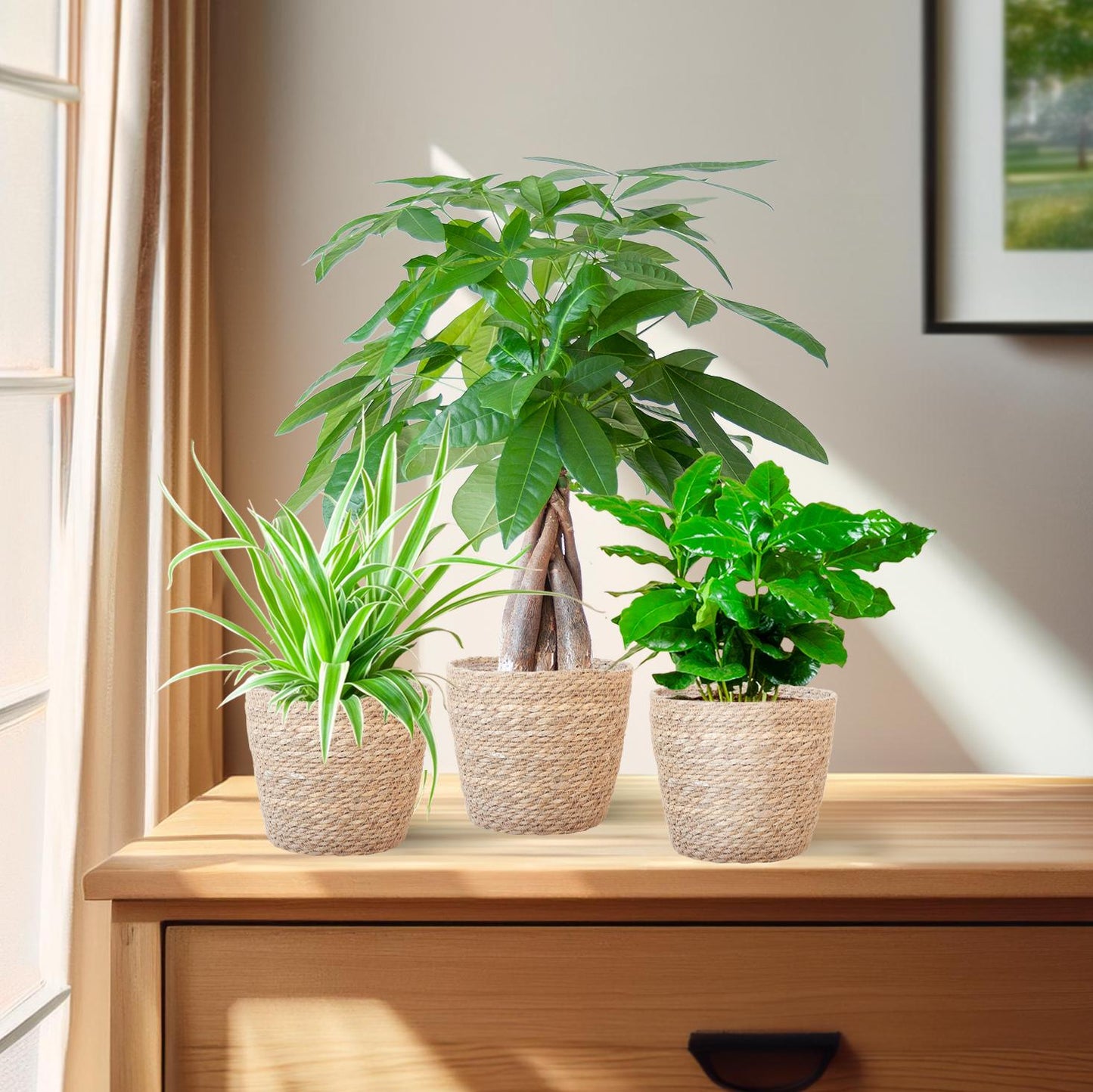 Diervriendelijke Plantenbox met mand