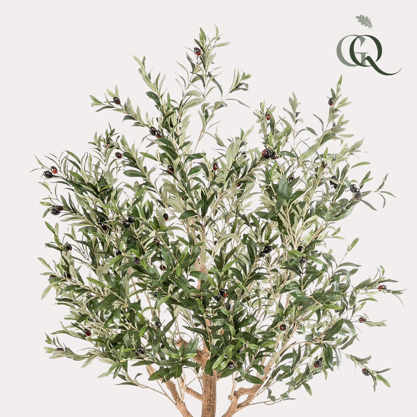 Kunst Olijfboom -  Olea europaea - 180cm