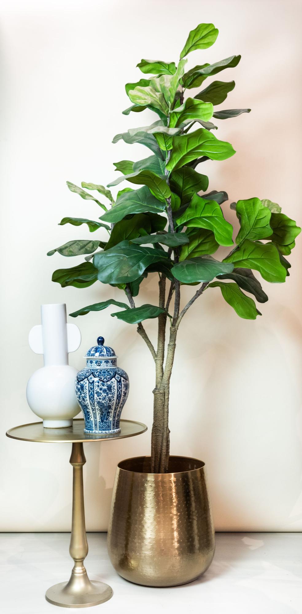 Kunstplant - Ficus Lyrata - 180cm