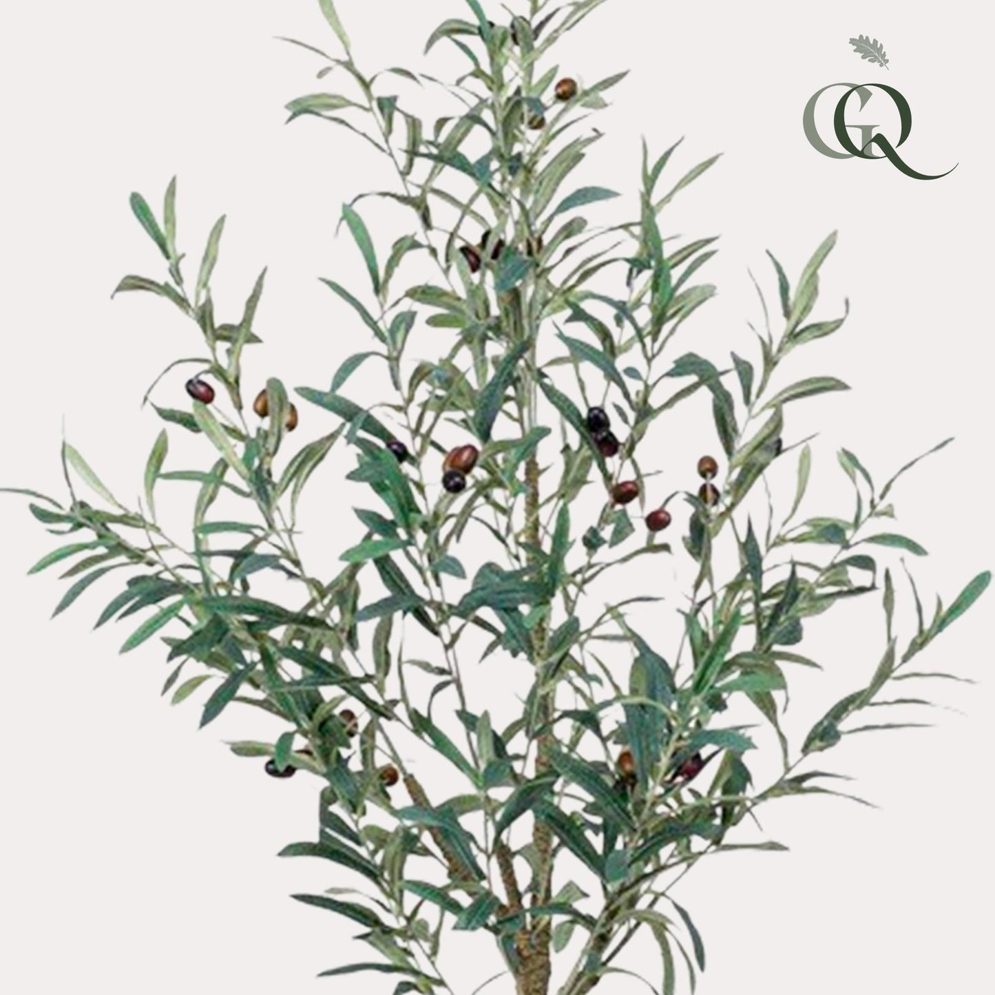 Kunst Olijfboom -  Olea europaea - 115cm